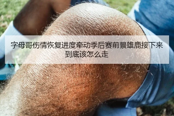 字母哥伤情恢复进度牵动季后赛前景雄鹿接下来到底该怎么走